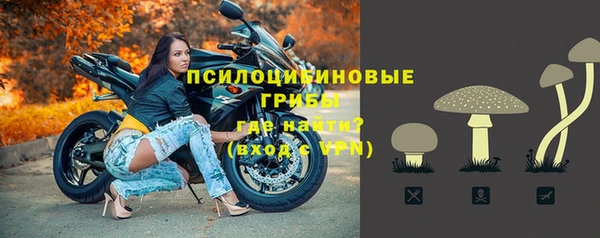 кокс Нефтекумск