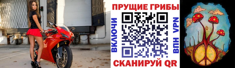 Галлюциногенные грибы Cubensis  магазин    Усмань 