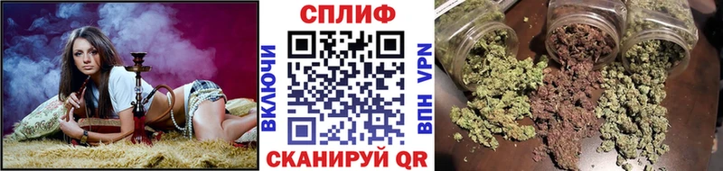 hydra сайт  Усмань  Канабис сатива 